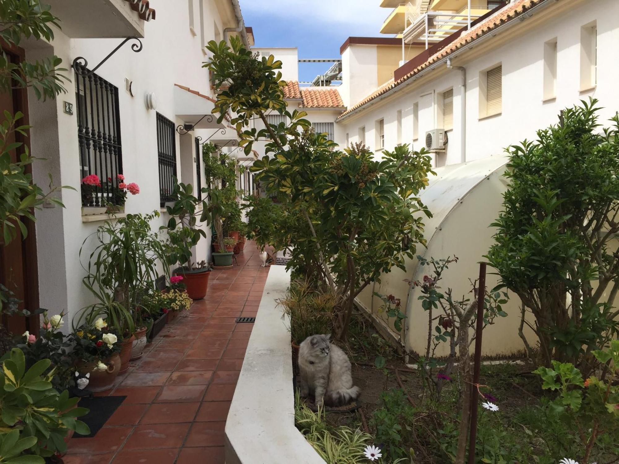 El Cortijuelo: Seaside Triplex With Rooftop Terrace